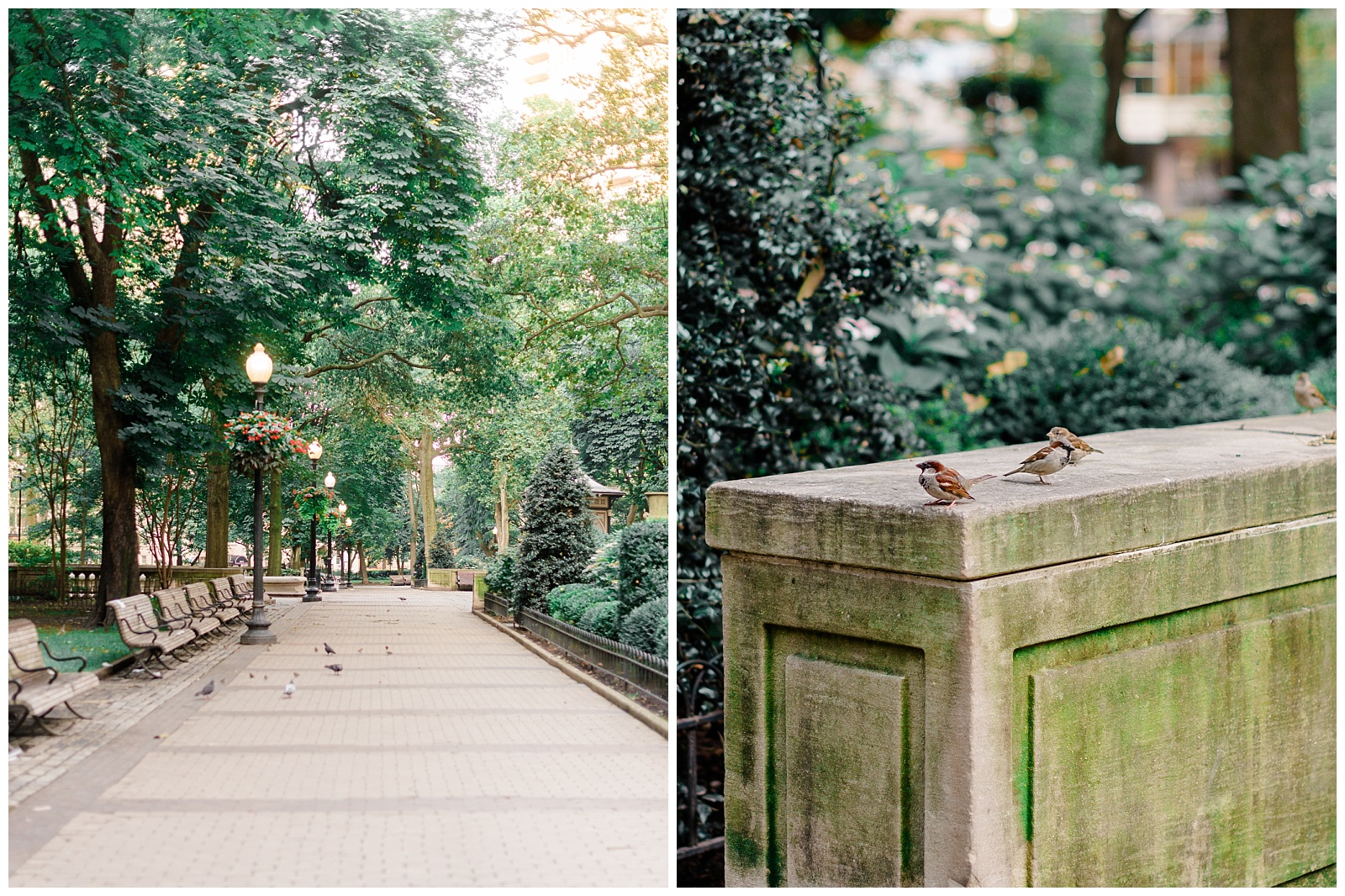 Tree-lined walkway and stone details in Rittenhouse Square during a Philadelphia engagement session