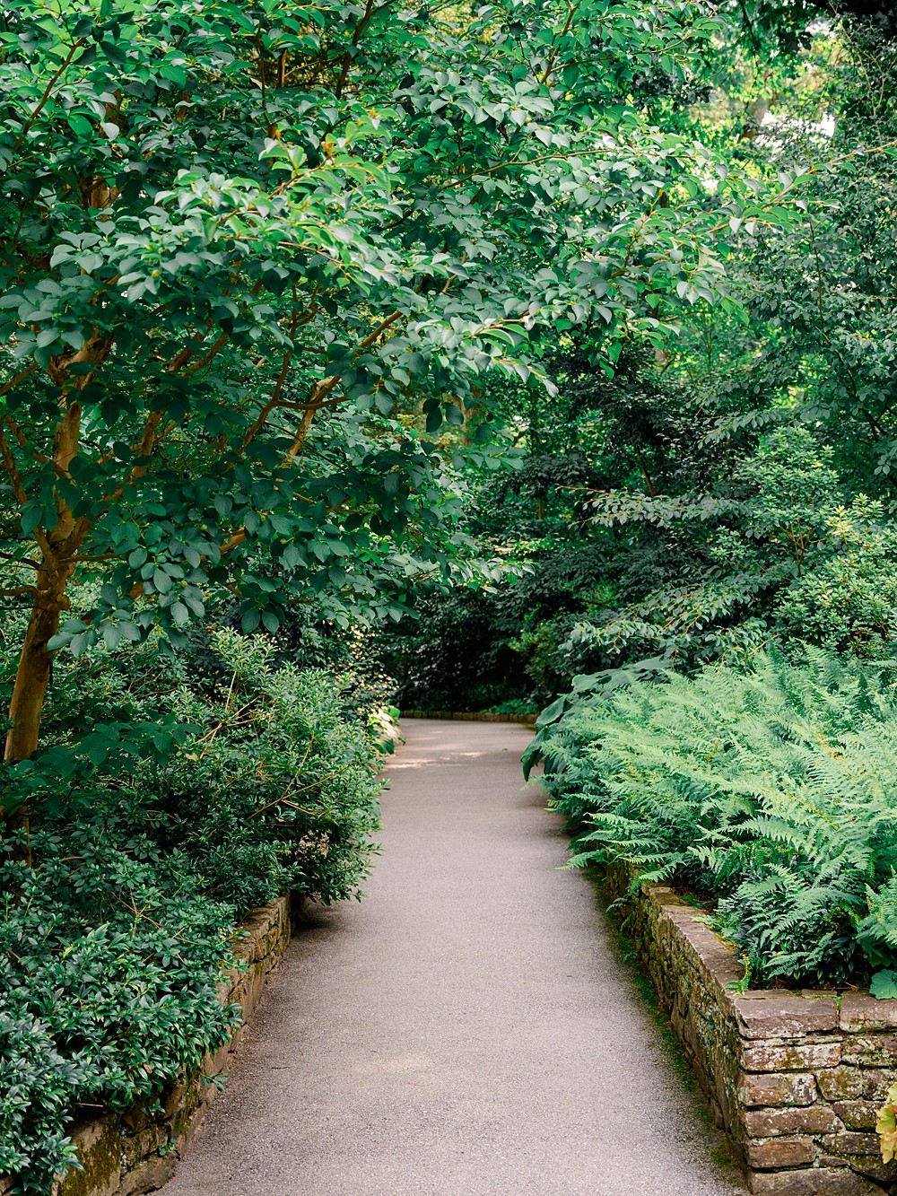 Longwood Gardens Engagement Photos; New Jersey Engagement Photographer