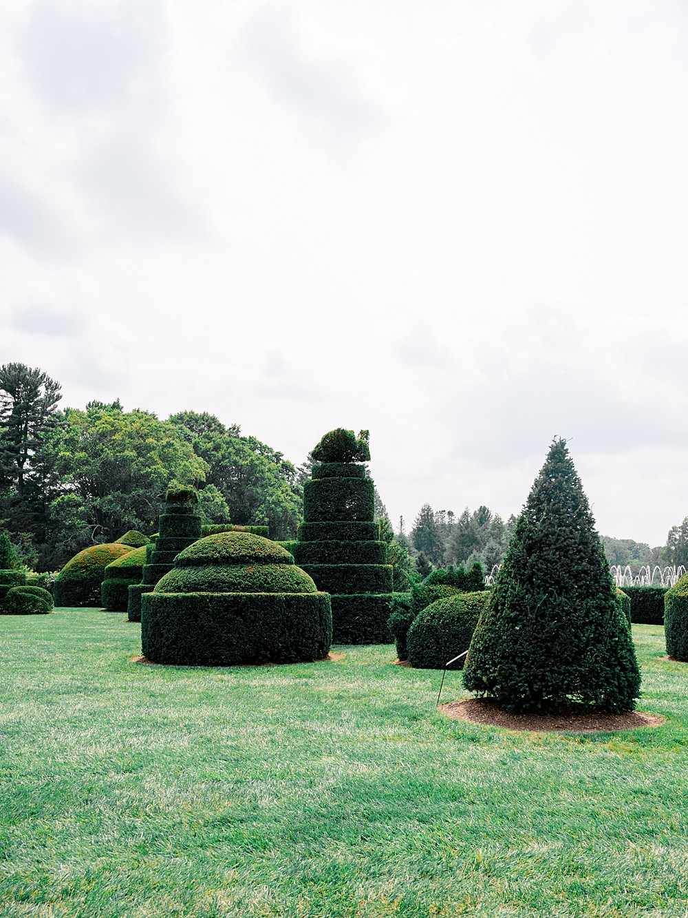 Longwood Gardens Engagement Photos; New Jersey Engagement Photographer